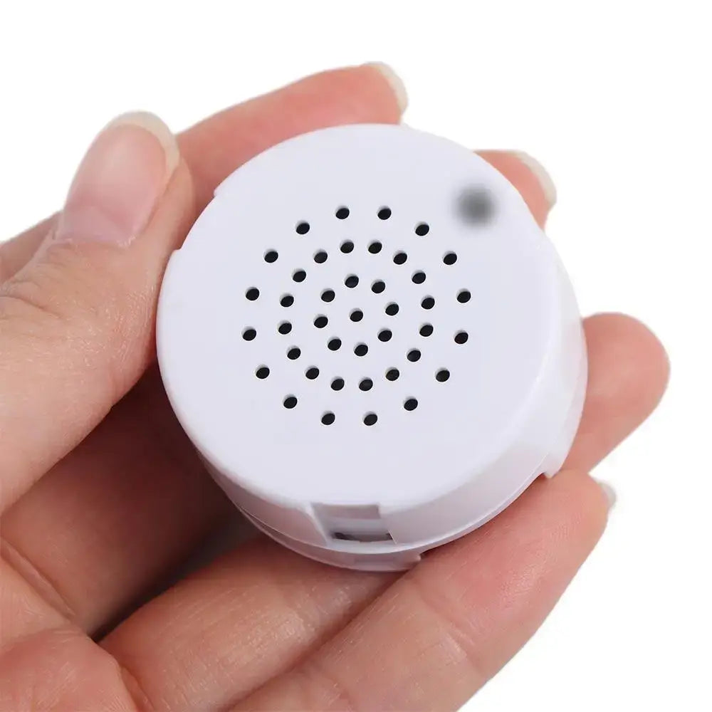 Frost Glow Cosmetics recordable plush toy voice box. DIY 30-sec sound module for custom messages, gifts & keepsakes.